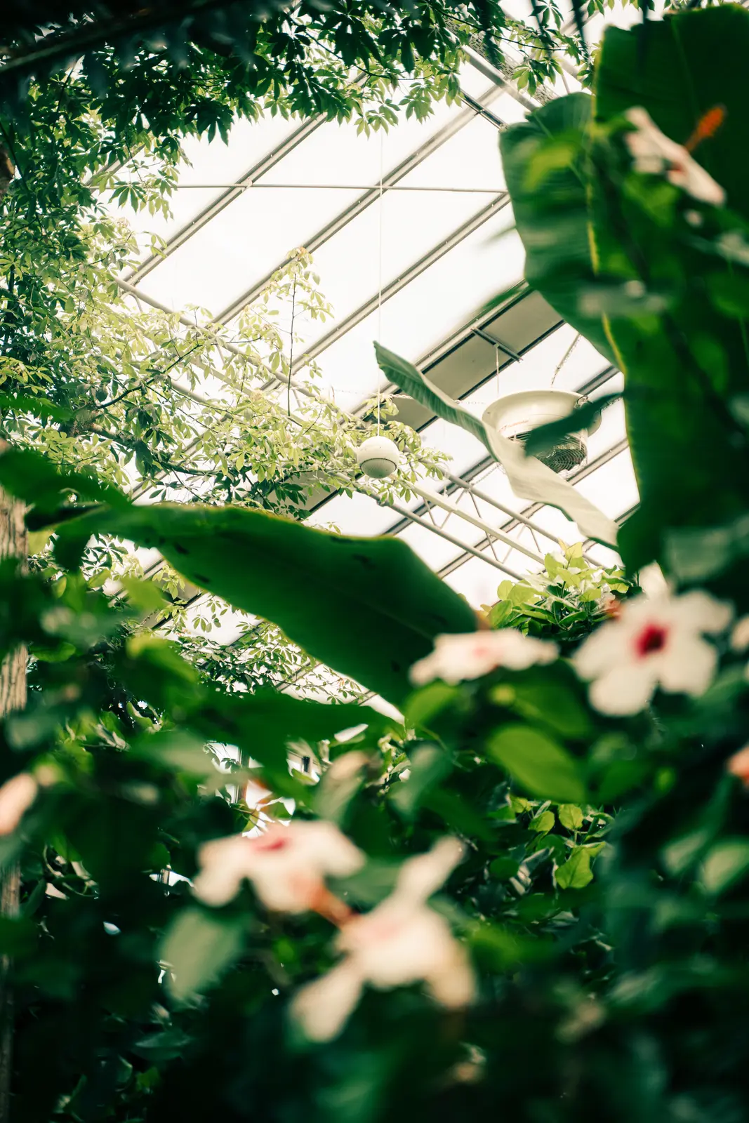Luisenpark – Aufnahme 25