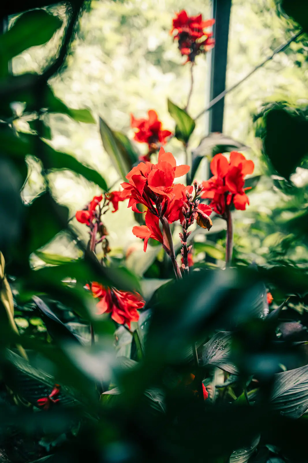 Luisenpark – Aufnahme 42