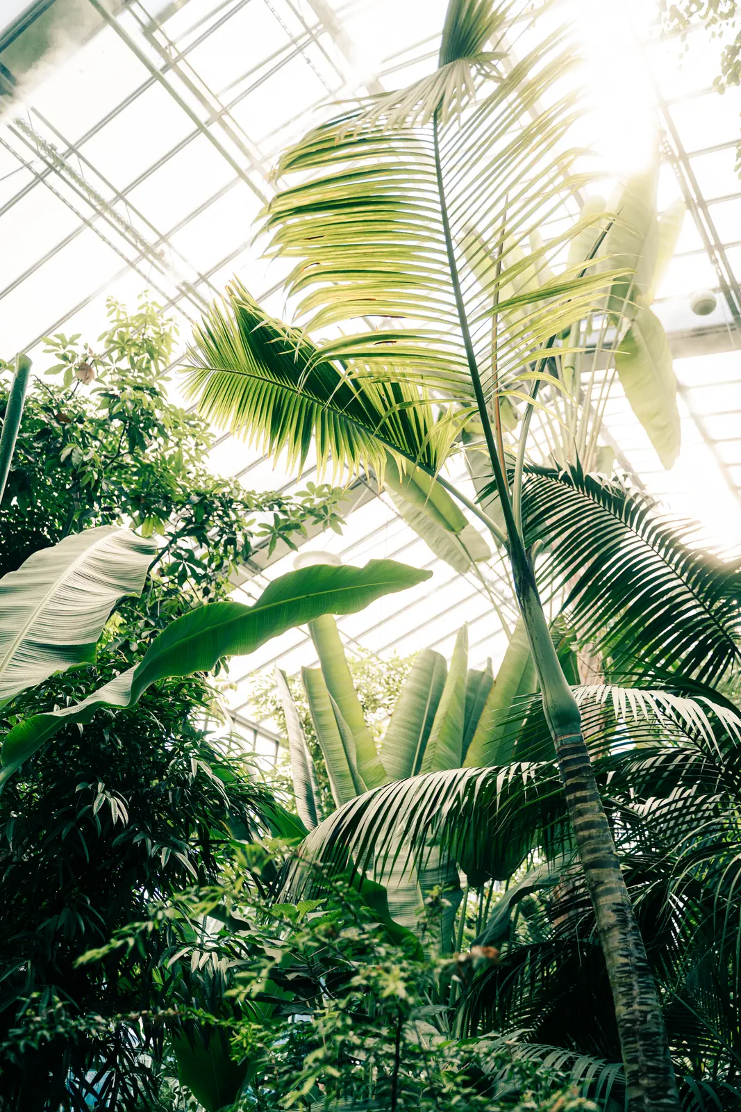 Luisenpark – Aufnahme 48